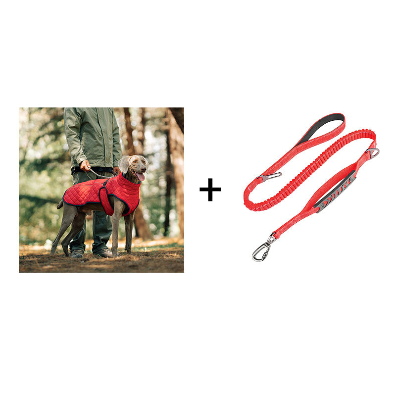 Hunde-Wintermantel – Für warme und sichere Spaziergänge