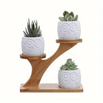 BambooStyle - Stylish Plant Presentation for Your Home