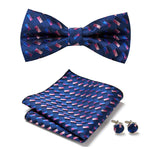 Elegantes Set mit stilvollen Fliegen und Accessoires