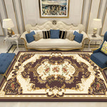 Colourfully patterned rug for stylish living spaces