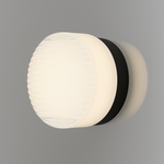 Elegant LED wall light for stylish accents and energy efficiency
