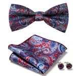 Elegantes Set mit stilvollen Fliegen und Accessoires