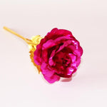 Eternal Gold Bloom | 24K Gold Roses for Special Occasions
