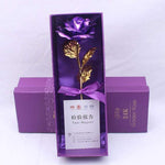 Eternal Gold Bloom | 24K Gold Roses for Special Occasions