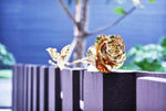 Eternal Gold Bloom | 24K Gold Roses for Special Occasions