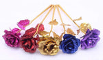 Eternal Gold Bloom | 24K Gold Roses for Special Occasions