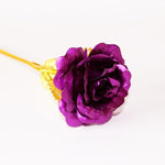 Eternal Gold Bloom | 24K Gold Roses for Special Occasions