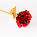 Eternal Gold Bloom | 24K Gold Roses for Special Occasions