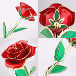 Eternal Bloom | 24k Gold-Plated Rose
