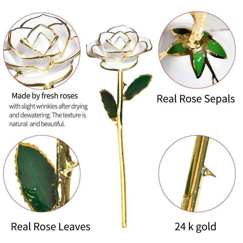 Eternal Bloom | 24k Gold-Plated Rose