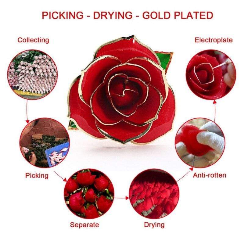Eternal Bloom | 24k Gold-Plated Rose