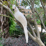 Lifelike Parrot Garden Ornament – Colorful Bird Figurine