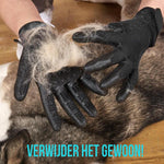 Tierpflegeset – Effektiv Haare entfernen und entspannen