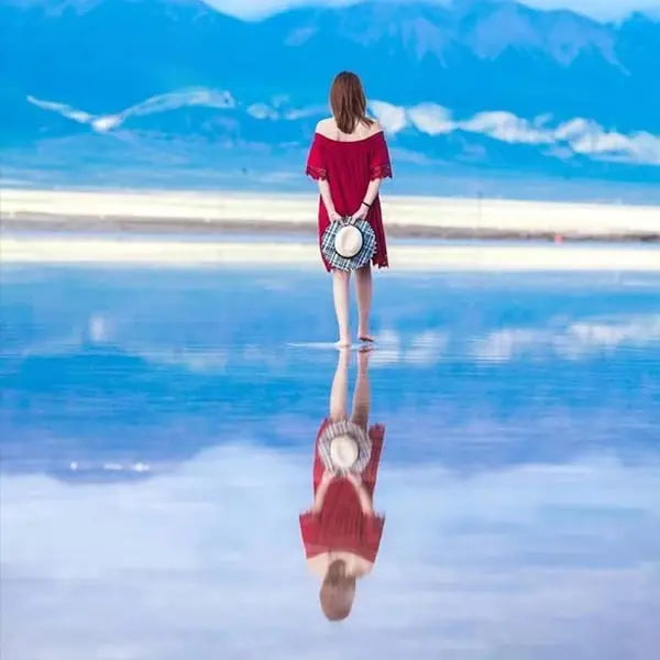 Creative SLR Reflector for Stunning Photos