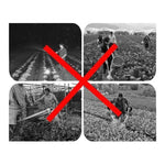 Spray nozzle for agricultural irrigation