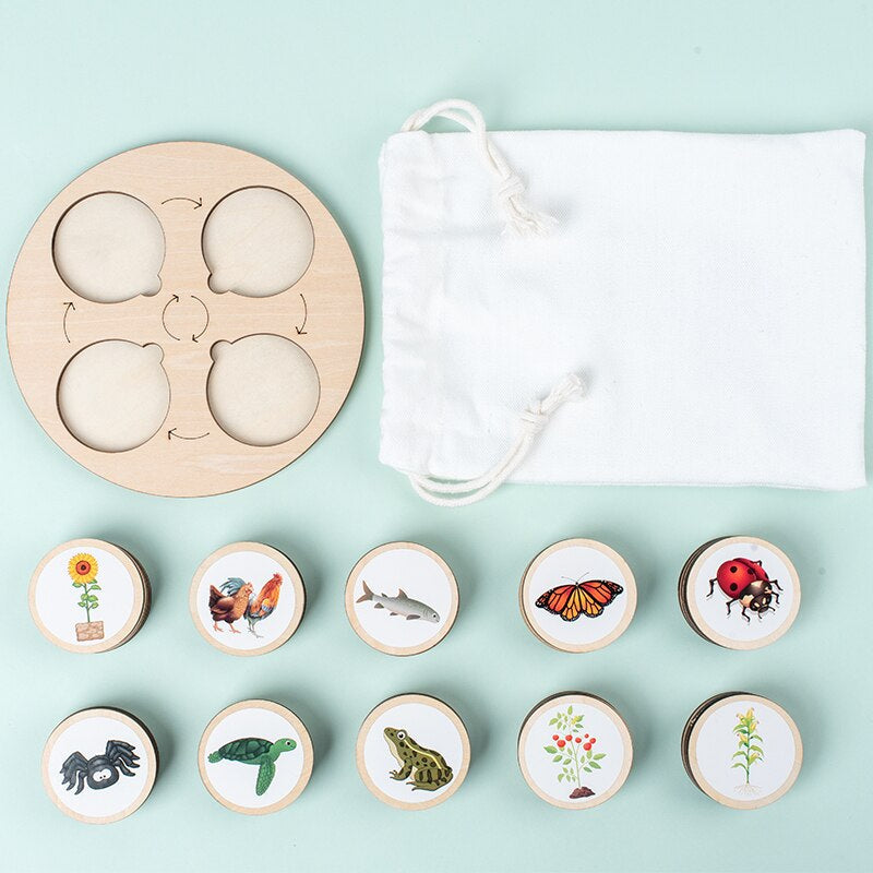 Educational wooden puzzle to promote understanding of the life cycle