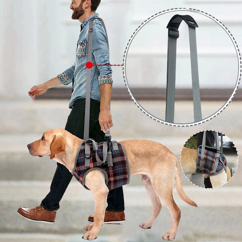 Support harnesses for dogs with hind leg weakness