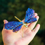 Dragonfly in Tourmaline and Kyanite