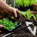 Efficient Weed Puller with Hollow Blade – Clean Results Effortlessly