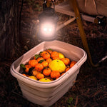 Foldable Multipurpose Basket – Ideal for Camping, Barbecues, and Home Use