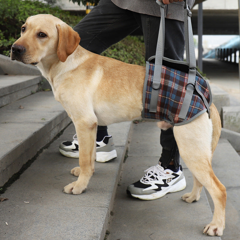 Support harnesses for dogs with hind leg weakness