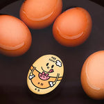 Color-Changing Egg Timer