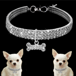 Sparkling Canine Friendship: Stylish Collar