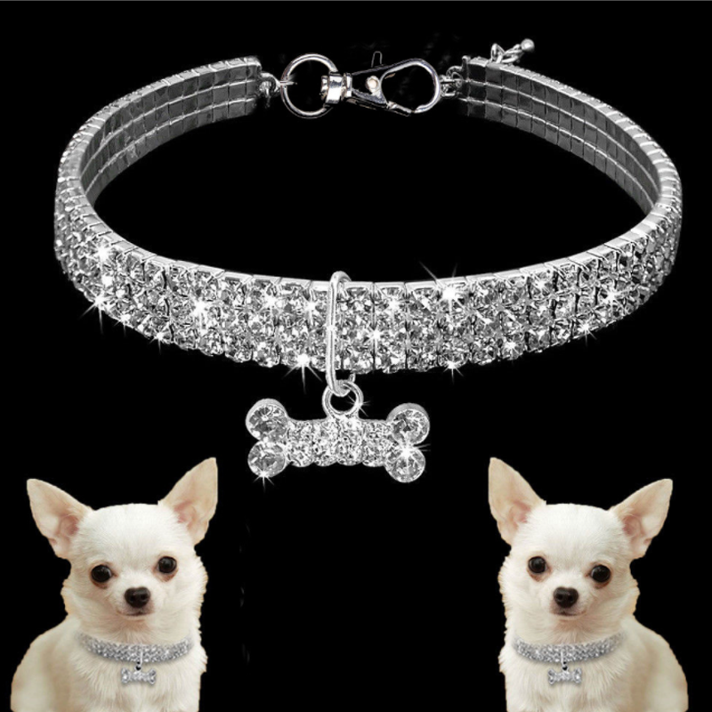 Sparkling Canine Friendship: Stylish Collar
