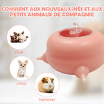 Silicone food dispenser