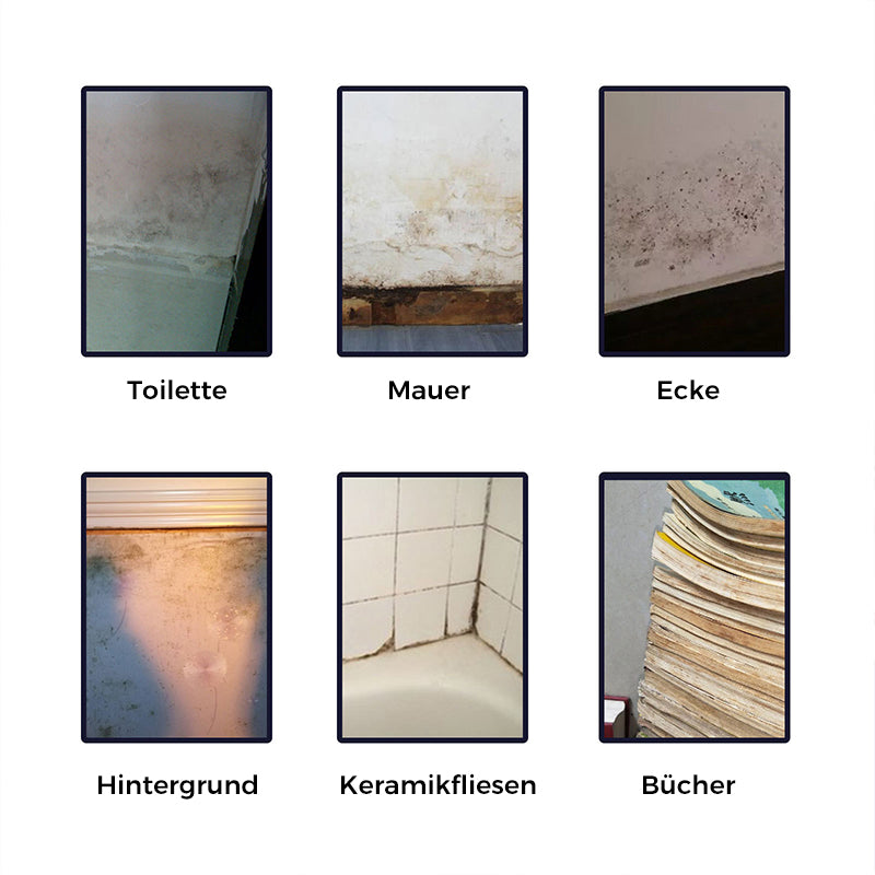 Cleaning Foam against Mold