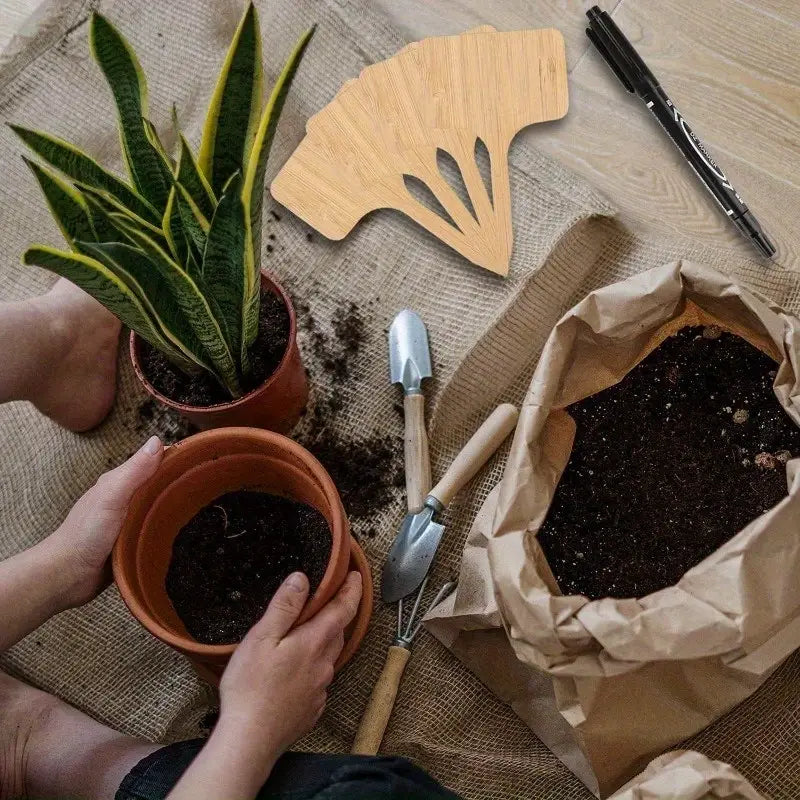 Pflanzenpflege leicht gemacht mit flexiblen Holzmarkierungen