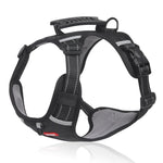 Safe and comfortable dog harness for relaxed walks