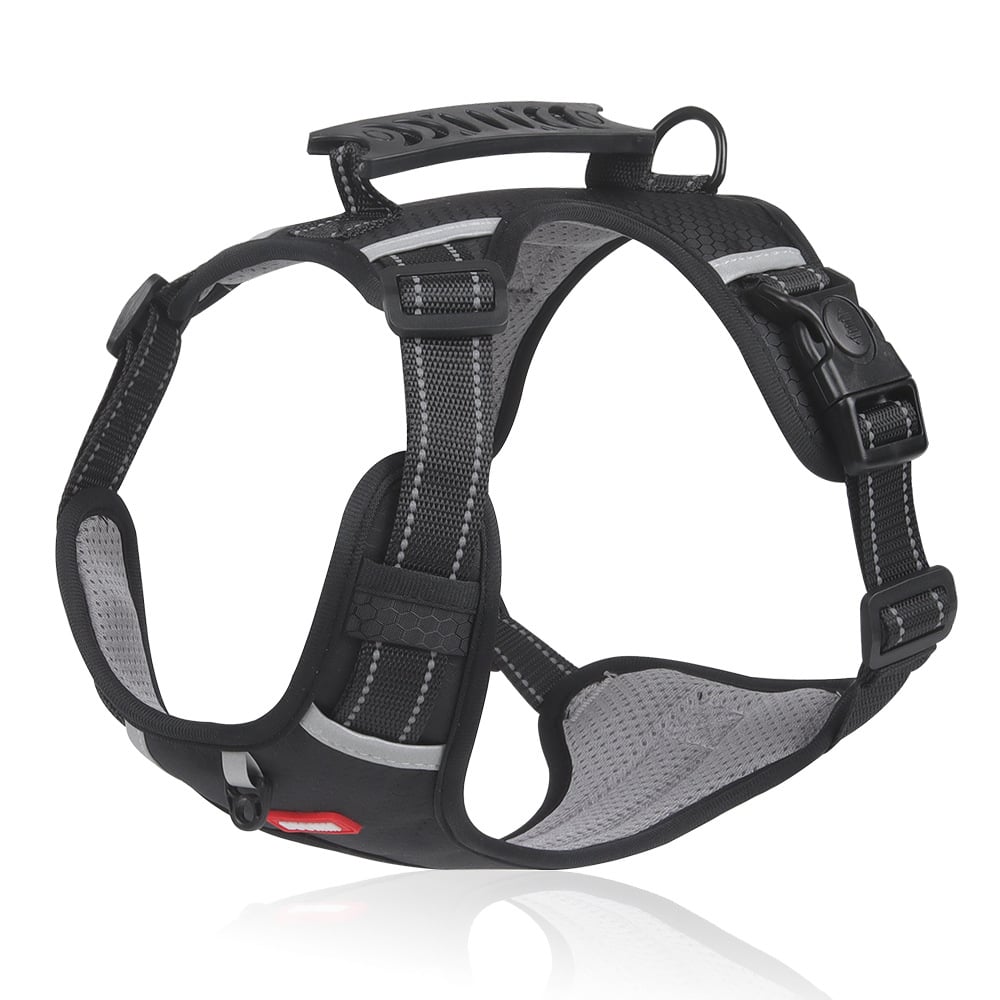 Safe and comfortable dog harness for relaxed walks