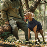 Hunde-Wintermantel – Für warme und sichere Spaziergänge