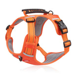 Safe and comfortable dog harness for relaxed walks