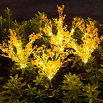 Lebendige Rapsblumen-Dekoration für Garten und Zuhause