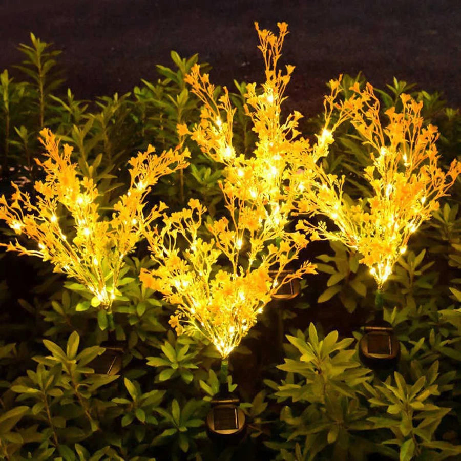 Lebendige Rapsblumen-Dekoration für Garten und Zuhause