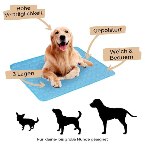 CoolPaws - Halten Sie Ihren Hund den ganzen Tag frisch und entspannt