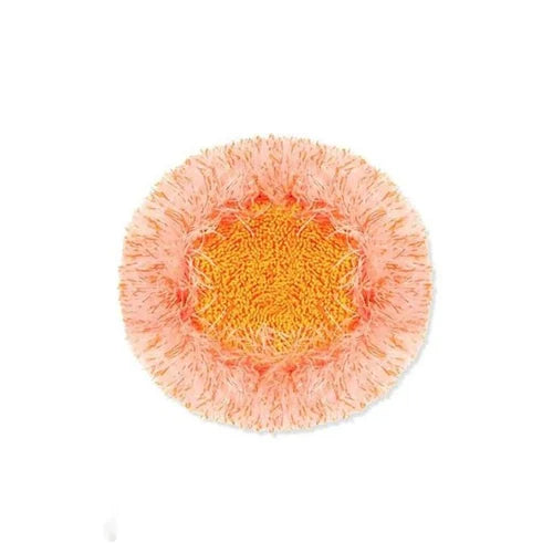 Vielseitiger, 360° drehbarer Reinigung Mop