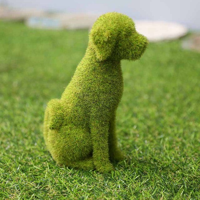 Lebendige Gartenverzierung – Verwandeln Sie Ihren Außenbereich!