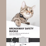 Safe Pet Monitoring – Smart Tracker with Reflective Collar