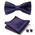 Elegantes Set mit stilvollen Fliegen und Accessoires