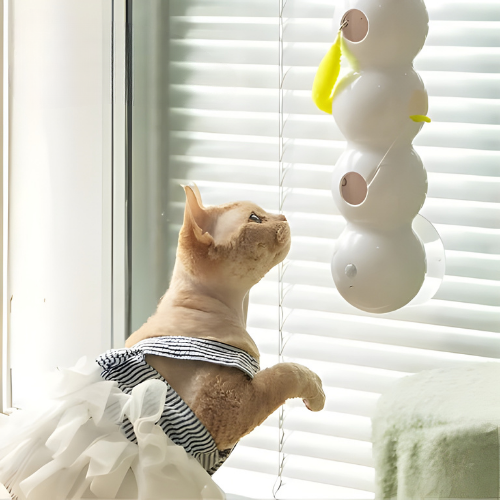 Interactive Wall Toy for Cats to Encourage Activity