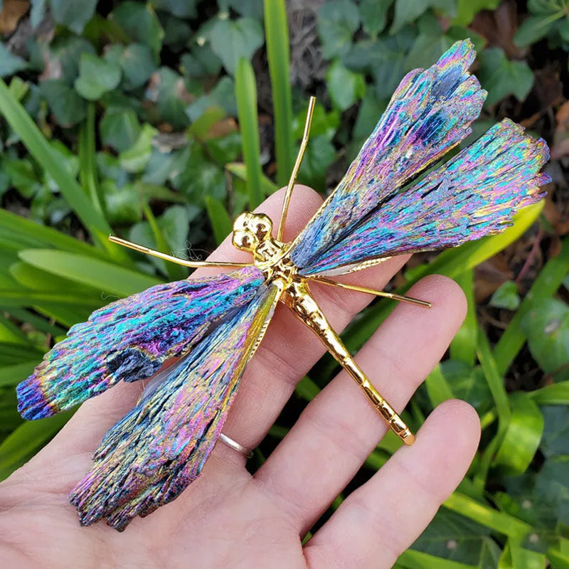 Dragonfly in Tourmaline and Kyanite