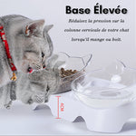 Cat food bowl