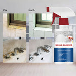 Cleaning Foam against Mold