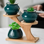 Three-Tier Bamboo Plant Stand – Tree-Shaped Display for Indoor Plants
