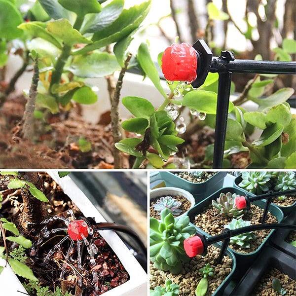 AquaFlow Bewässerungssystem mit Sprinkler und Tropfer für Pflanzen