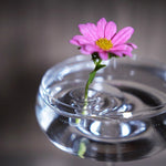 BlütenEleganz – Perfekte Präsentation für Ihre Blumen