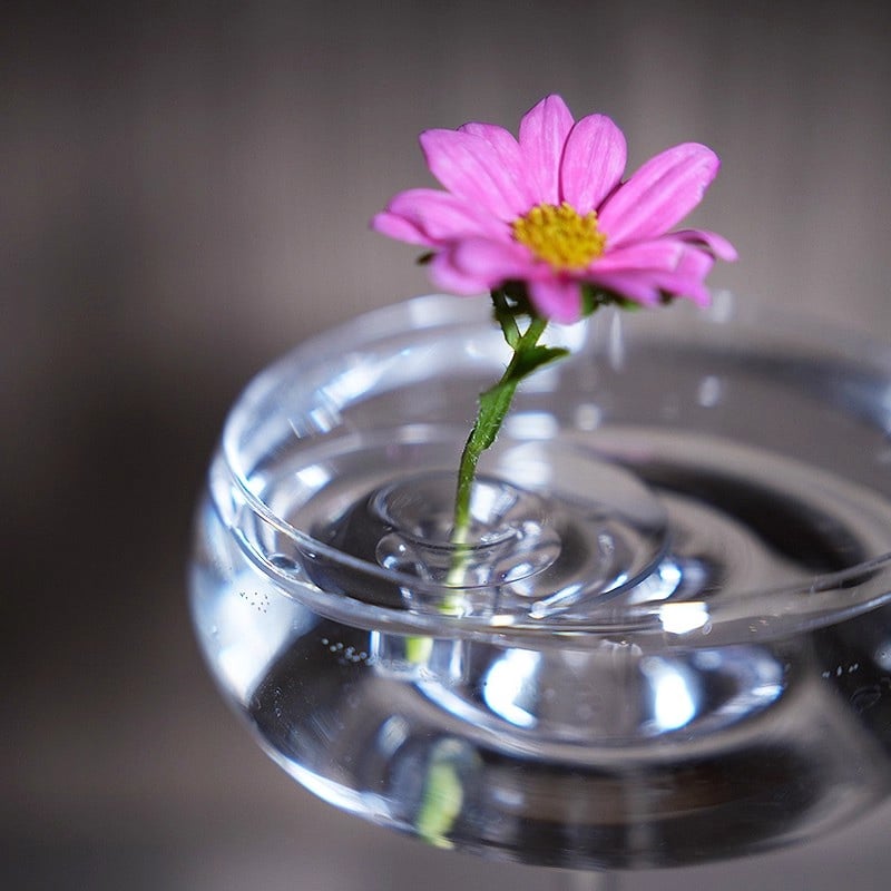 BlütenEleganz – Perfekte Präsentation für Ihre Blumen